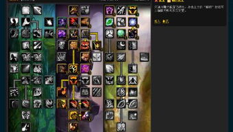 80级魔兽世界奶德天赋加点指南