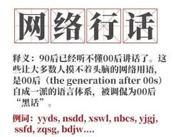 网黑的含义与解释