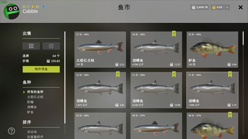 俄钓4PVA材料选择攻略：钓鱼效率翻倍技巧
