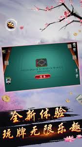 探索博雅宜宾棋牌：极致乐趣尽在掌握，玩法全！
