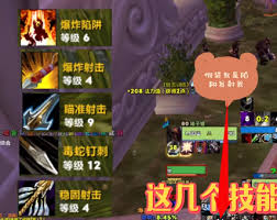 WLK猎人全面攻略：提升宠物战斗技巧与副本表现