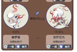 索罗亚进化等级是多少