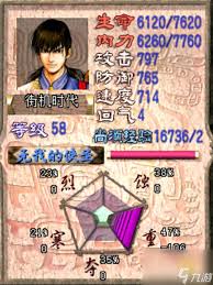 天龙八部单机版：全方位游戏攻略，助你成为江湖霸主