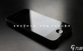 王中王代表作品全集