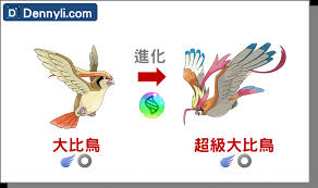 比比鸟进化需要达到多少级？