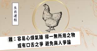 争斤论两：生肖中的精确大师