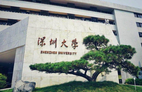 香港大学深圳校区本科招生要求