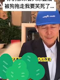 惊险瞬间大冰意外遭狗拖拽事件