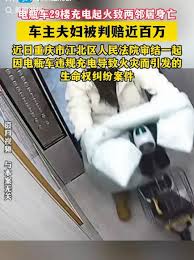 29楼电瓶车充电引发火灾致两邻居不幸遇难