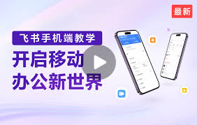 职业课合集