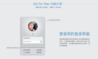 王珞丹现在在用的聊天软件是MSN、QQ还是新浪等？