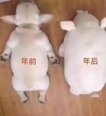 后备厢大赛展现城市生活新风尚提升生活质量探讨