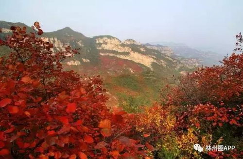 湖光秋色映诗情，七绝绘秋景