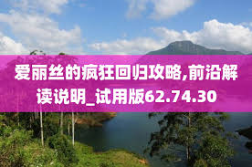 疯狂爱丽丝回归全攻略指南