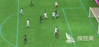 FIFA足球世界球员数据概览