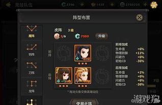 深度剖析：天下第一武道精髓解读