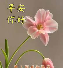 你是否也曾默默期盼？那些渴望拥有自己小窝的暖心句子