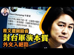 王文斌和华春莹的关系是什么?
