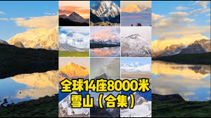 知晓学堂合集