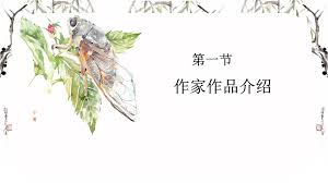 知识蝉合集