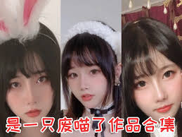 只只竞赛合集