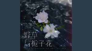 栀子花开合集