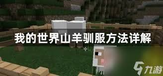 我的世界山羊驯服秘籍：从零开始的牧场主之旅