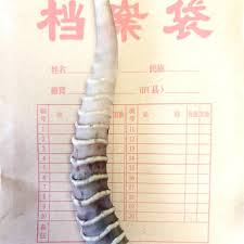 羚羊角价格每克究竟多少钱？
