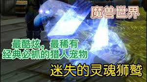 黑骑士命令中的狮鹫所在之处