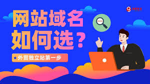 为什么有些网站域名以www开头？
