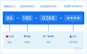 0288区号背后的城市秘密