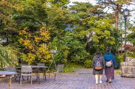 东京魅力居所：隐藏在繁华都市中的静谧小巷