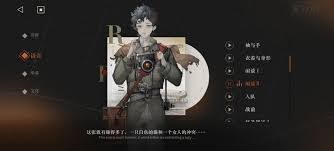 活力四射：定义与含义解析