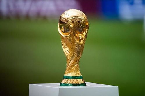 2022年世界杯举办地点揭晓