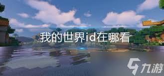 我的世界ID查询秘籍，点进来你就知道了
