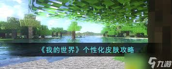 轻松上手：打造个性皮肤，我的世界DIY教程