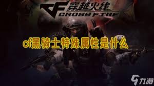 Q&A：CF黑骑士挑战的神秘属性