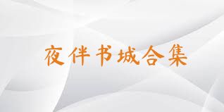 夜伴书城合集