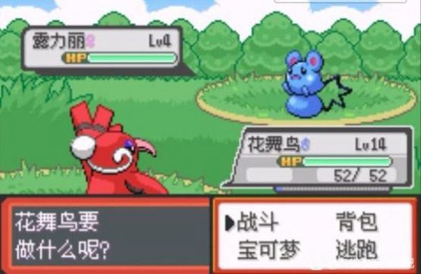 口袋妖怪青苔随机