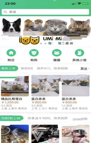 寻宠